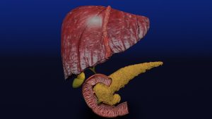 İnsanda aşağıdaki sıvılardan hangisinde sindirim enzimine rastlanmaz?