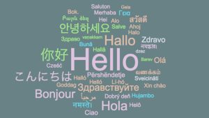 Yazar, metinde aşağıdakilerin hangisine değinmemiştir?