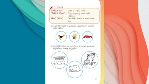 1. Sınıf Müzik Ders Kitabı Cevapları Meb Yayınları Sayfa 19