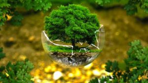 Çevre, doğa, geri dönüşüm ile ilgili şiir