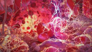 Kanamanın pıhtılaşması sürecinde moleküllerin meydana geliş sırası hangi seçenekte doğru verilmiştir?