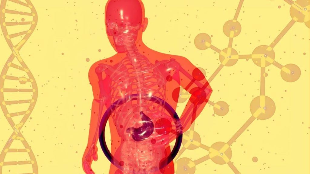 Sağlıklı bir insanda kalın bağırsaktan alınan bulamaçta aşağıdakilerden hangisine rastlanabilir?