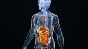Sağlıklı bir insanın sindirim boşluğunda moleküllerinden hangilerine rastlanamaz?