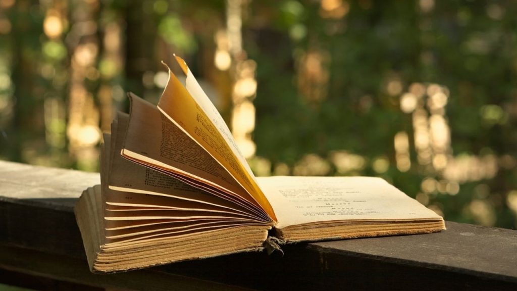 Şiir çevirisi için önce şair olunmalı; sonra da şiir çevrilen dil, en az ana dil kadar iyi bilinmelidir. Cümleden çıkarılabilecek kesin yargıyı bulunuz.