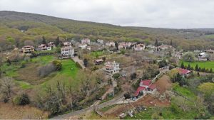 Yukarıdaki sözler anlamlı ve kurallı bir cümle oluşturacak biçimde sıralandığında hangisi baştan üçüncü olur?