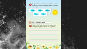 1. Sınıf Tohum Okuma ve Yazma Çalışma Yaprakları 2. Kitapçık Cevapları Meb Yayınları Sayfa 25