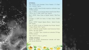 1. Sınıf Tohum Okuma ve Yazma Çalışma Yaprakları 2. Kitapçık Cevapları Meb Yayınları Sayfa 27