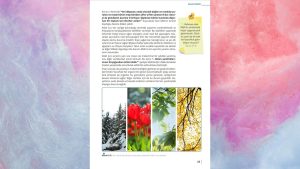 5. Sınıf Din Kültürü Ders Kitabı Cevapları Meb Yayınları Sayfa 23