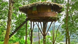 Bu insanların evlerini yaparken bitki örtüsünden faydalanmasının temel nedeni aşağıdakilerden hangisi olabilir?