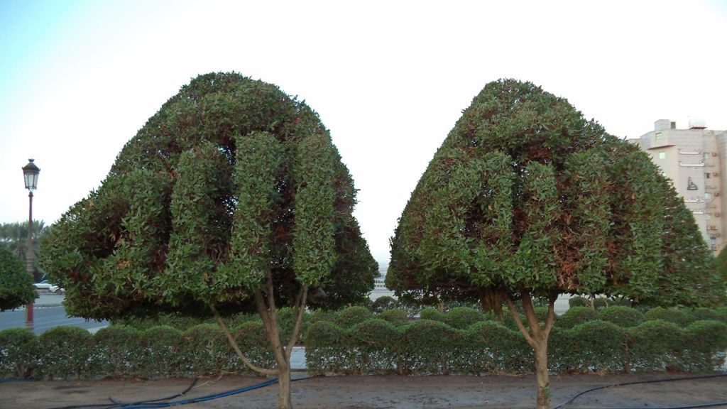 Bu parçada verilmek istenen mesajı bir cümle ile yazınız.