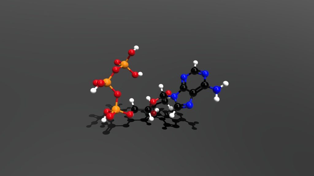Hayvanda hemoglobin üretim yetersizliğine bağlı olarak üretimi azalan hangisidir?
