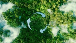 İnsanların doğa sahnesinden yok olup gitmelerini engelleyecek veya geciktirecek faaliyetler neler olabilir?