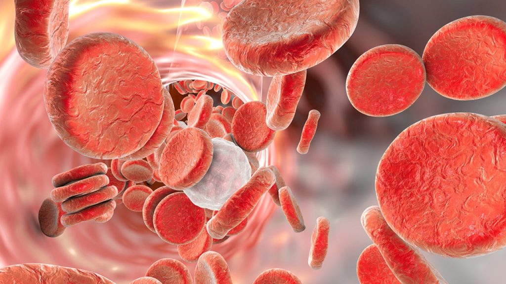 Kalp atış hızının artmasına hangi faktörün azalışı sebep olur?