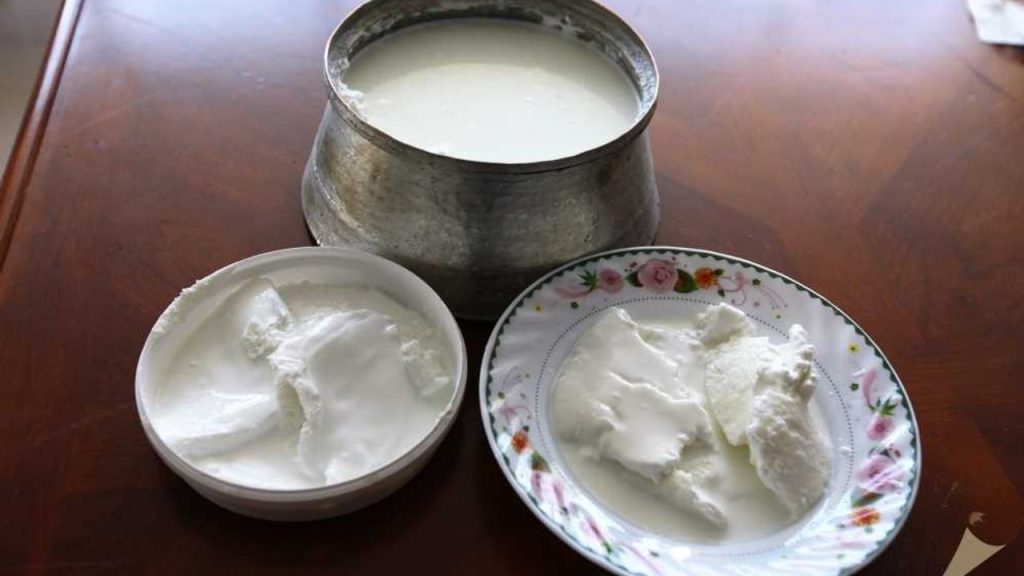 Kaymağı ile meşhur ilimiz hangisidir?