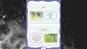 Özel Öğrenciler İçin Uyarlanmış Etkinlikler (UYET) Hayat Bilgisi 1. Cilt Cevapları Meb Yayınları Sayfa 47