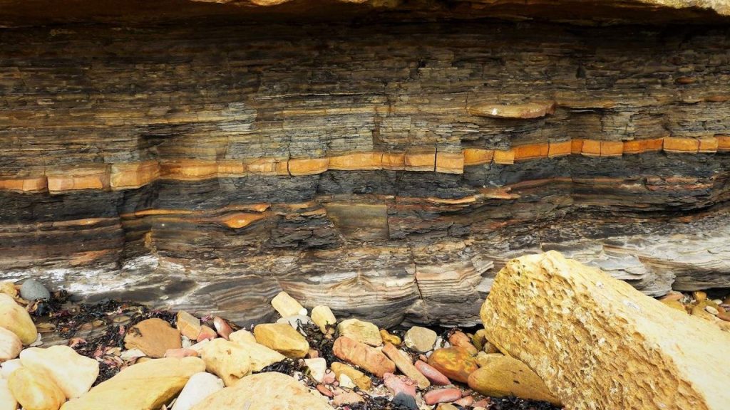 Tortul kayaçlar ile volkanik kayaçlar arasındaki farklar nelerdir?