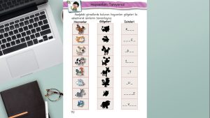 1. Sınıf Hayat Bilgisi Çalışma Kitabı Cevapları Meb Yayınları Sayfa 112