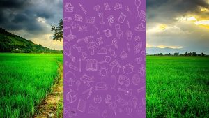 1. Sınıf Hayat Bilgisi Çalışma Kitabı Cevapları Meb Yayınları Sayfa 136