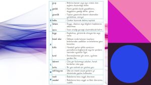 1. Sınıf Hayat Bilgisi Ders Kitabı 1. Kitap Cevapları Meb Yayınları Sayfa 122