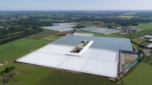 1000 metrekarelik alan ölçüsü birimine ne denir?