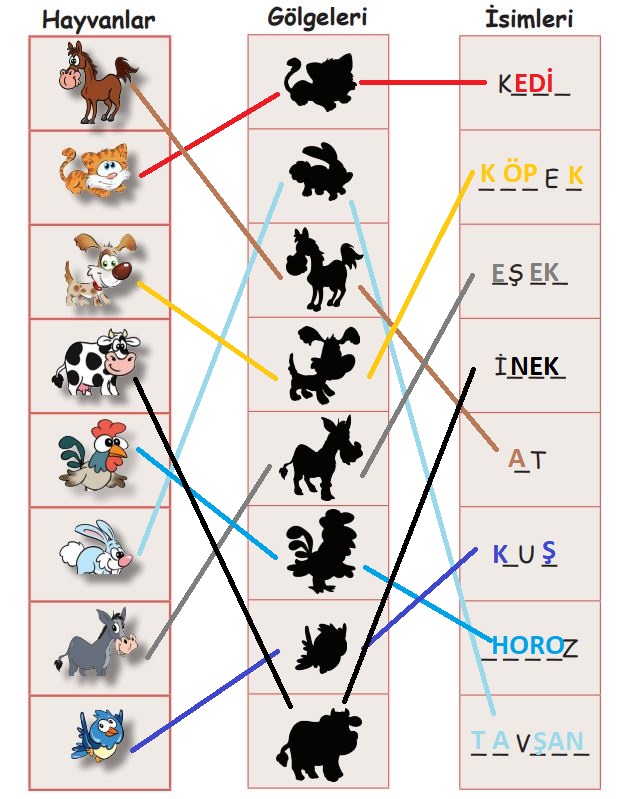 Aşağıdaki görsellerde bulunan hayvanları gölgeleri ile eşleştirerek isimlerini tamamlayınız.