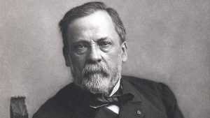How did Louis Pasteur’s work influence the development of modern vaccines?