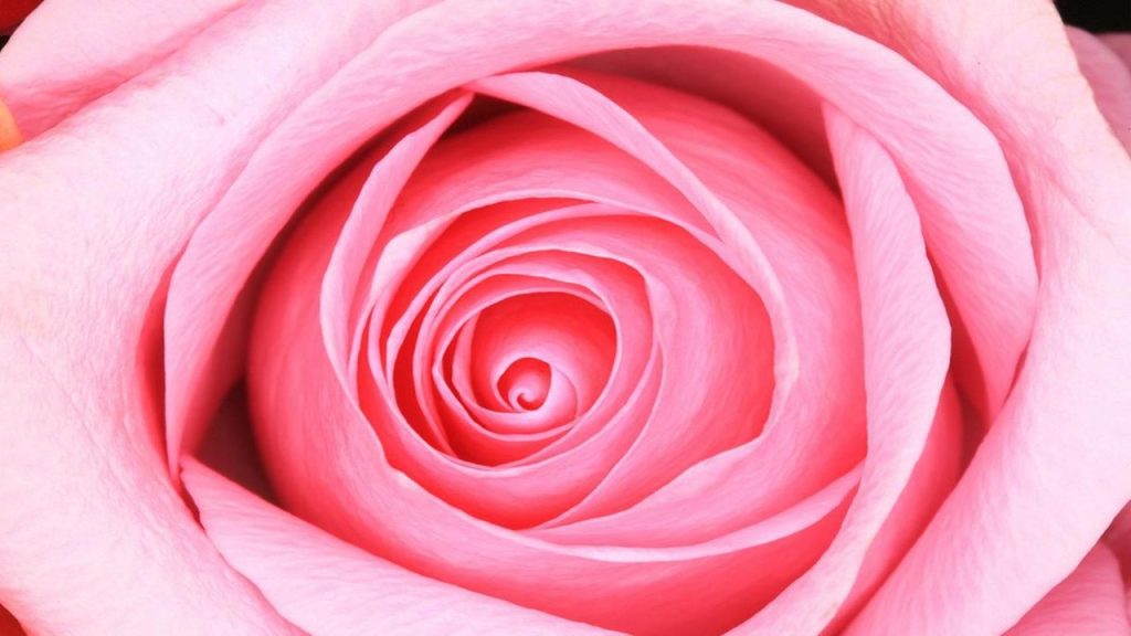 Kırmızı ve beyaz karışırsa hangi renk ortaya çıkar?