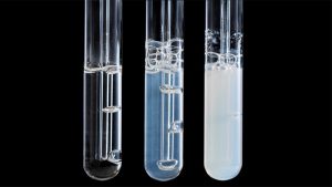 Name the liquid that can be used to test for carbon dioxide.