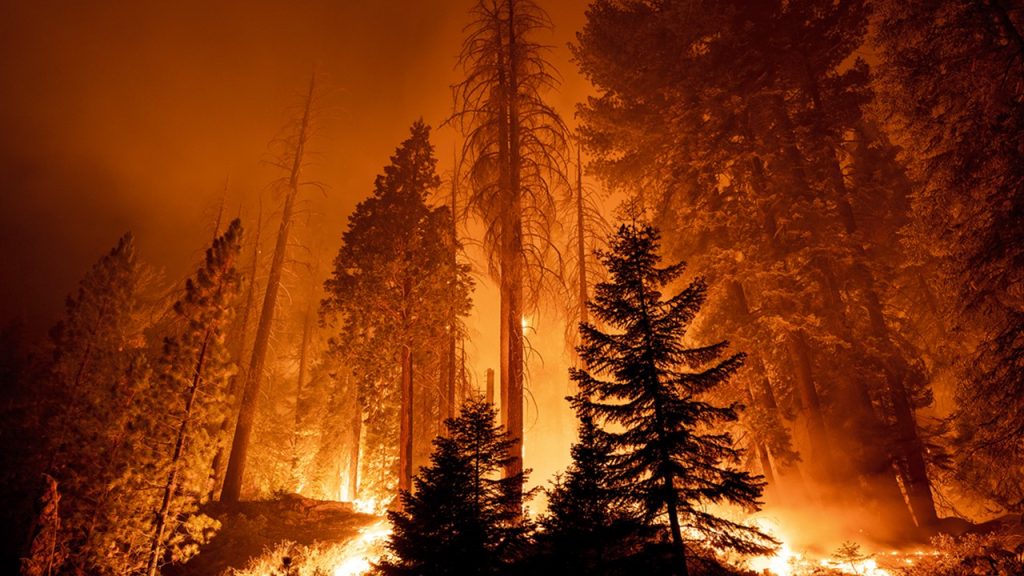 What are the four ways which fire can spread?
