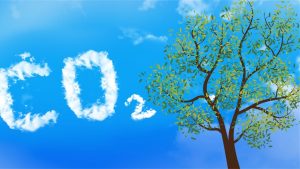 What is the substance that moves from the bloodstream to the air via the lungs?