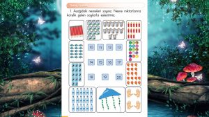 1. Sınıf Matematik Ders Kitabı Cevapları Meb Yayınları Sayfa 48