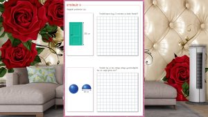 Özel Öğrenciler İçin Uyarlanmış Etkinlikler (UYET) Ölçme 5. Cilt Cevapları Sayfa 27