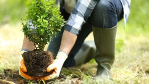 Bu metne yazılabilecek en uygun başlık aşağıdakilerden hangisidir?
