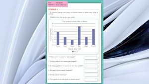 Özel Öğrenciler İçin Uyarlanmış Etkinlikler (UYET) Veri İşleme 6. Cilt Cevapları Sayfa 40