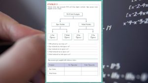 Özel Öğrenciler İçin Uyarlanmış Etkinlikler (UYET) Veri İşleme 6. Cilt Cevapları Sayfa 49