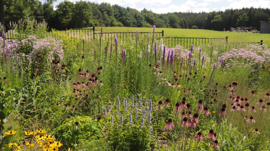 Yukarıda verilen sözcükte kaç tane ünsüz harf vardır?