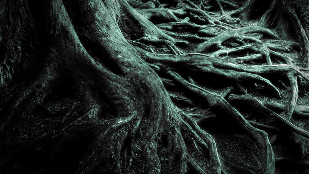 _____, sosyal hizmet uzmanlarına bir durumun birçok boyutunu değerlendirmek için bir perspektif sağlar. Cümlede boş bırakılan yere aşağıdakilerden hangisi getirilmelidir?