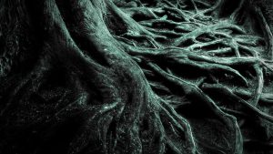 _____, sosyal hizmet uzmanlarına bir durumun birçok boyutunu değerlendirmek için bir perspektif sağlar. Cümlede boş bırakılan yere aşağıdakilerden hangisi getirilmelidir?