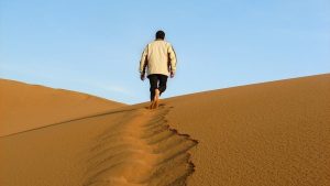 Aşağıdakilerden hangisi adaptasyonun özelliklerinden biri değildir?