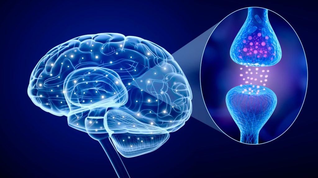 Aşağıdakilerden hangisi yaşamdan geri çekilme teorisinin temel tezlerinden biridir?