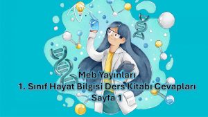 1. Sınıf Hayat Bilgisi Ders Kitabı Cevapları Meb Yayınları Sayfa 1
