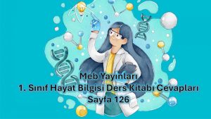1. Sınıf Hayat Bilgisi Ders Kitabı Cevapları Meb Yayınları Sayfa 126