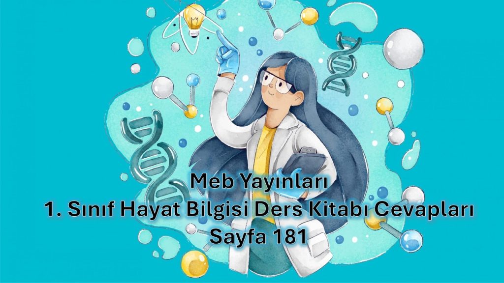 1. Sınıf Hayat Bilgisi Ders Kitabı Cevapları Meb Yayınları Sayfa 181