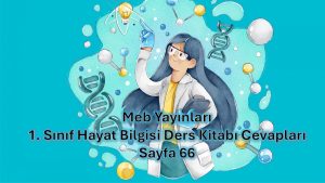 1. Sınıf Hayat Bilgisi Ders Kitabı Cevapları Meb Yayınları Sayfa 66