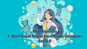 1. Sınıf Hayat Bilgisi Ders Kitabı Cevapları Meb Yayınları Sayfa 8
