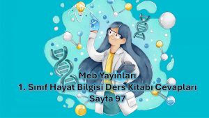 1. Sınıf Hayat Bilgisi Ders Kitabı Cevapları Meb Yayınları Sayfa 97