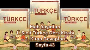 1. Sınıf Türkçe Ders Kitabı 2. Kitap Cevapları Meb Yayınları Sayfa 43