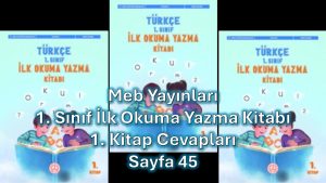 1. Sınıf Türkçe İlk Okuma Yazma Kitabı 1. Kitap Cevapları Meb Yayınları Sayfa 45
