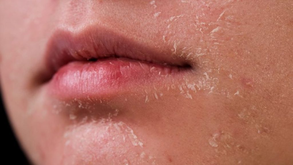 Aşağıdakilerden hangisi dokunmaya yarayan duyu organıdır?