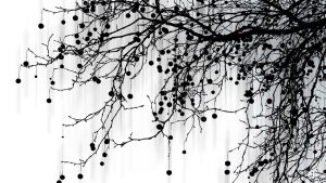 Bir işin elinden geldiğince iyi olması için gösterilen çaba